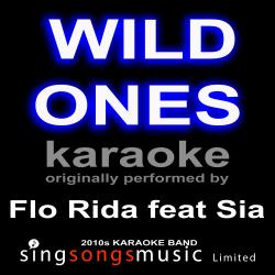 Wild Ones (Originally Performed By Flo Rida feat Sia) [Karaoke Audio Version]